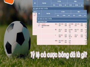 Tỷ lệ bóng đá là gì? Các dạng tỷ lệ bóng đá hiện nay