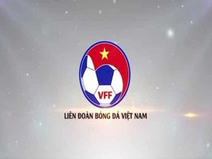 VFF là gì? Tổ chức này đóng vai trò như thế nào?