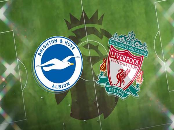 Nhận định kết quả Brighton vs Liverpool, 22h00 ngày 14/1