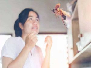 Gián bay vào người là điềm tốt hay xấu, chốt số mấy?