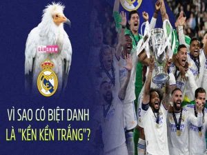 Tại sao Real Marid có biệt danh ‘Kền kền trắng’?