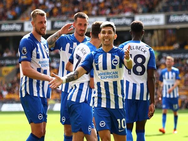 Brighton & Hove Albion: Ngôi sao đang lên của Premier League