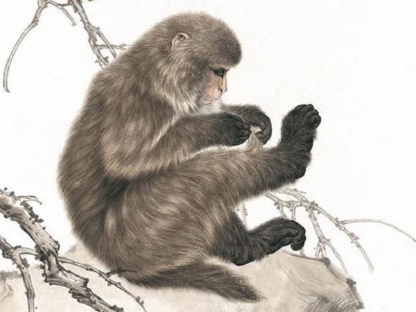  Tổng quan vận mệnh tuổi Thân ngày 23/11/2025